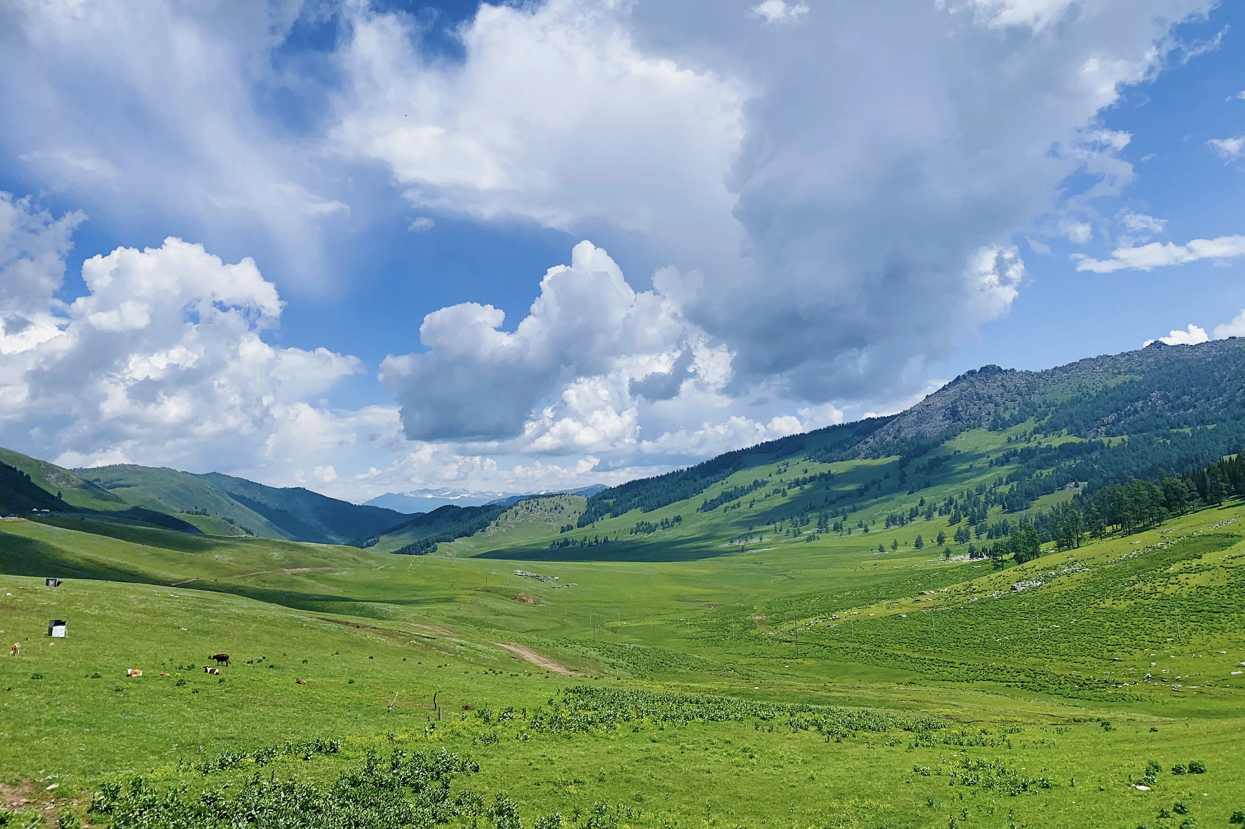 Xinjiang, China