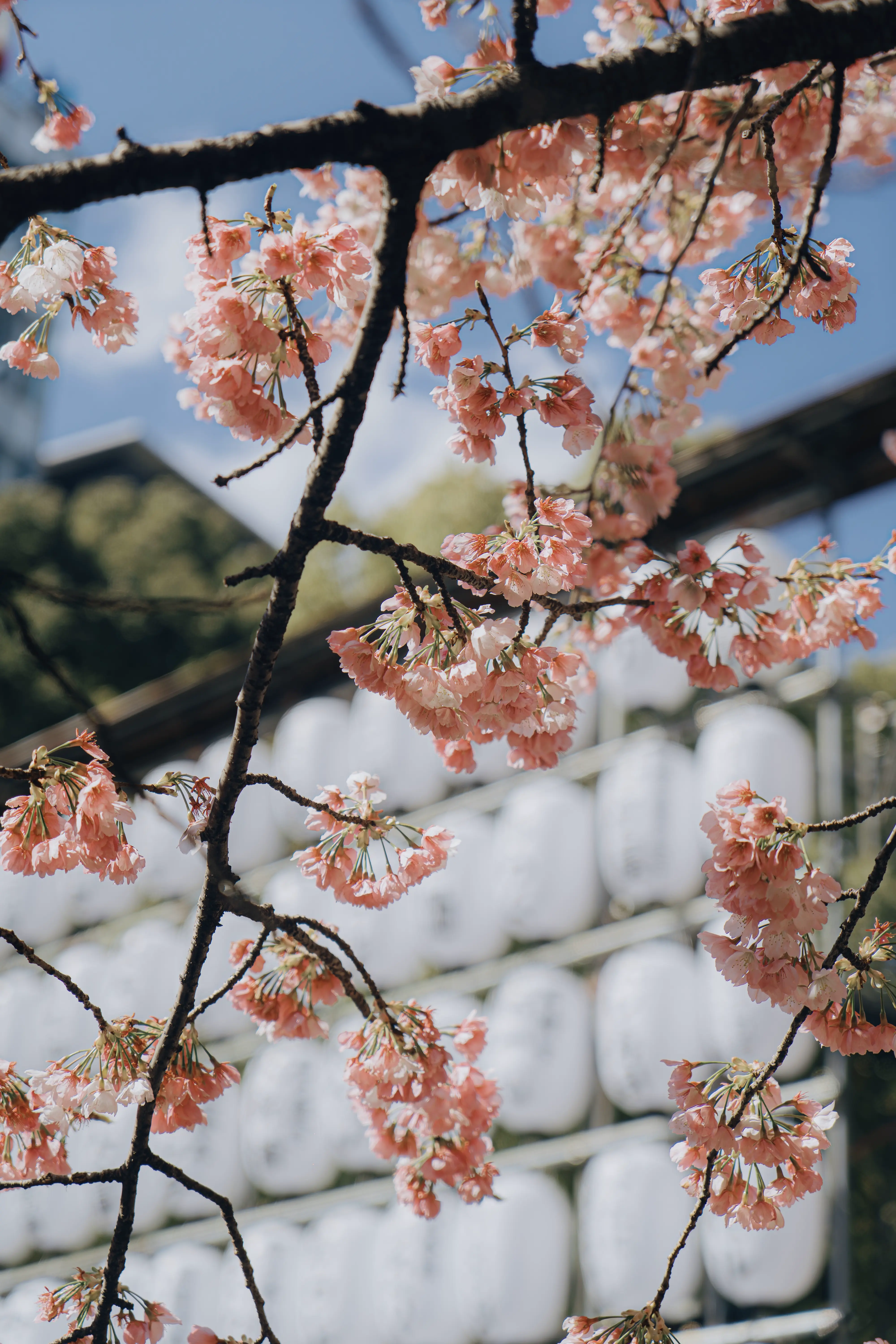 Tokyo, Japan